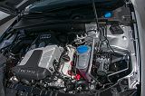KORsee124021_5079