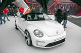 KORsee125070_5482