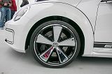 KORsee125073_5489