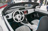 KORsee125076_5494