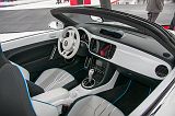 KORsee125081_5511