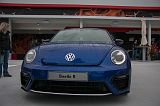 KORsee125083_5514